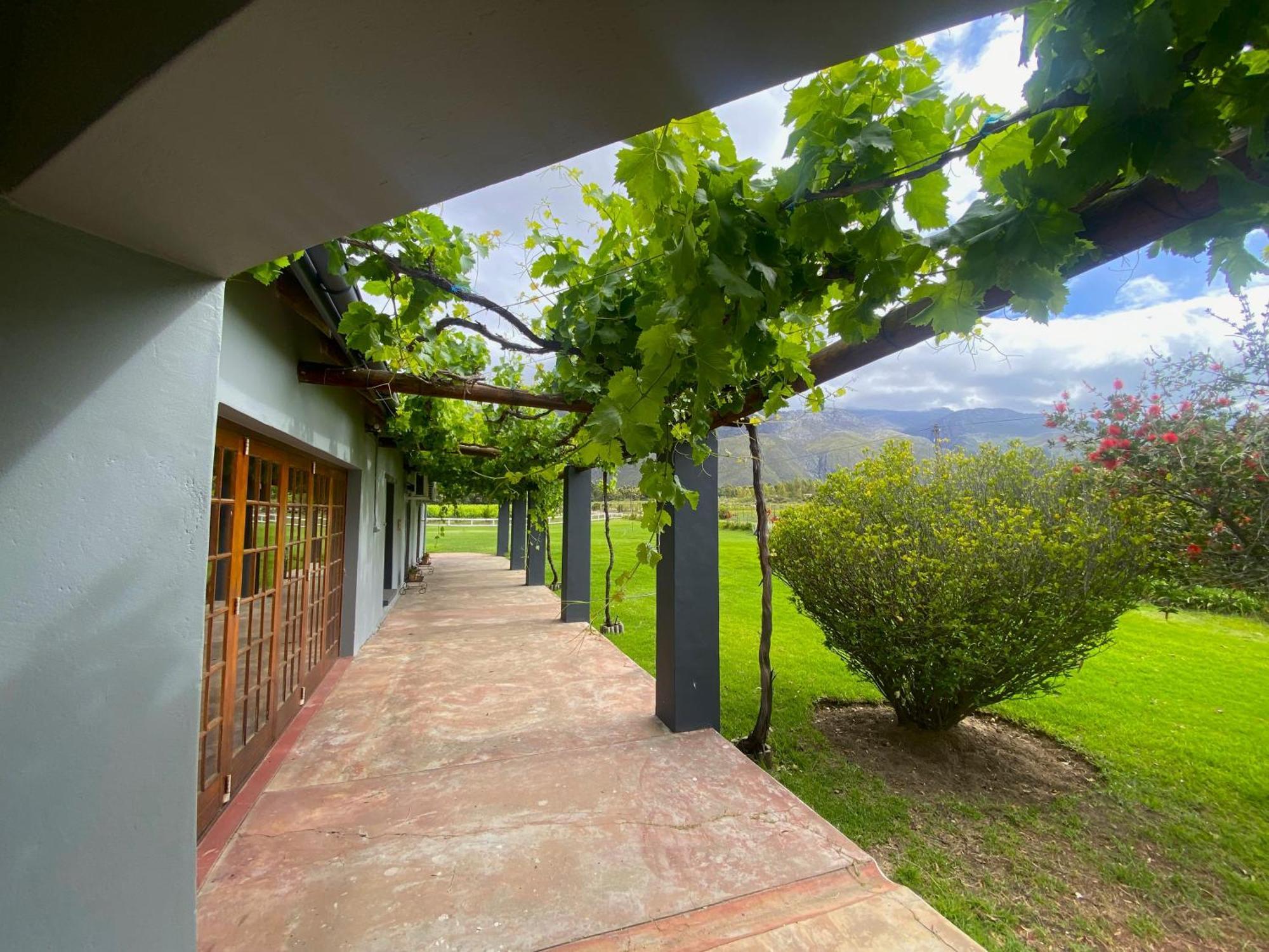 Hotel Oaksrest Vineyards Guest Farm Ladismith Esterno foto